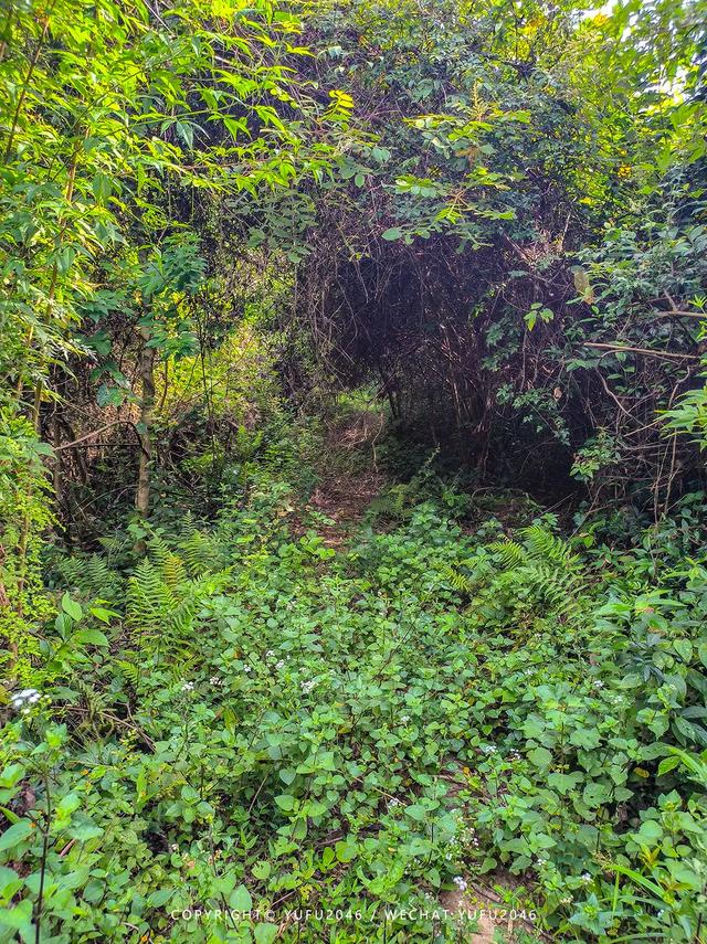 丰良九龙瀑布攻略