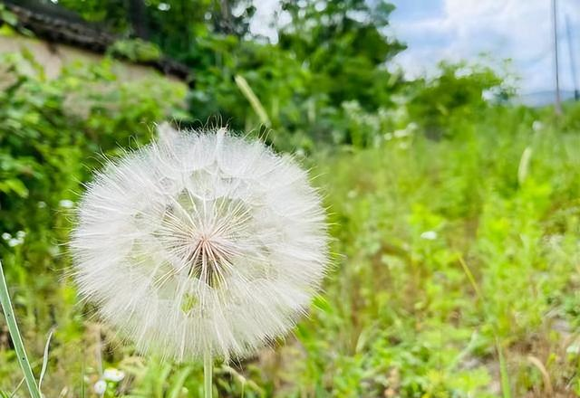 心理学：男女交往，为什么要远离“偏执型人格障碍”的人？