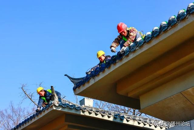 文化公园：公园焕新添暖意 游客欣然入画来