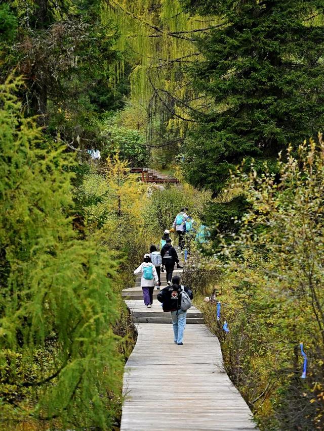 达古秋韵｜当第一缕晨光吻过云海，这里正上演秋日的浪漫相遇