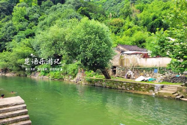 浙江宁波的山谷粉黛花海背山面溪，幽静而浪漫，周边景色更加迷人