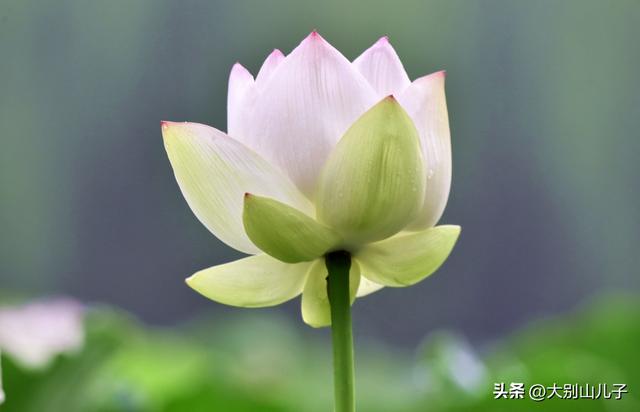 郑州西流湖风光