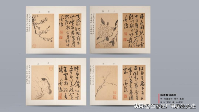 石家庄市博物馆多维度发力以文化实践赋能石家庄历史文化宣传普及