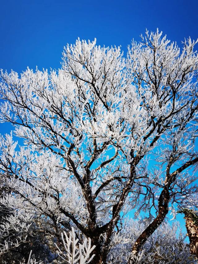 怀集的四季!带你回顾,带你深入