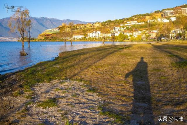洱海的湿地公园很多,这几座孤岛风景不错,只是唯一的浮桥太晃荡