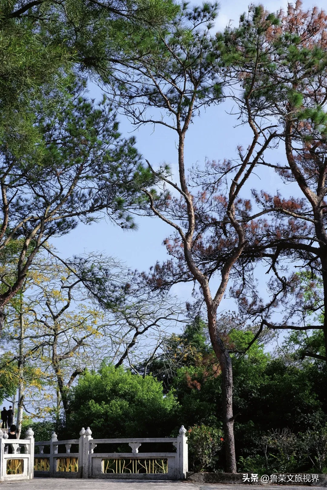 隐匿在广东的冬日秘境：恩平，一座20℃暖冬里的温柔小城