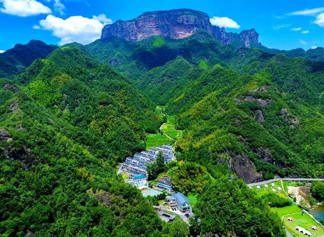 台州春行录：山海寻鲜，花间寻梦