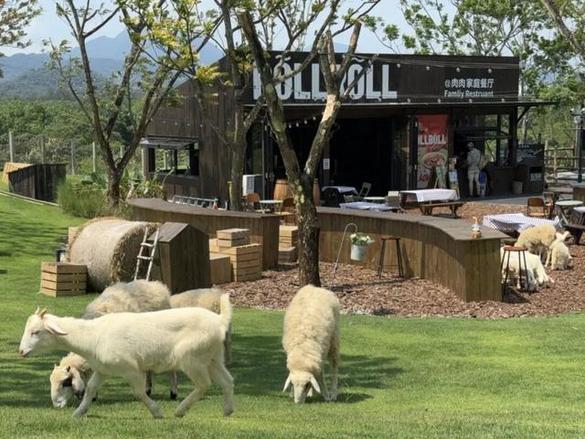 春节游万宁兴隆｜解锁热带归侨的暖冬年味！