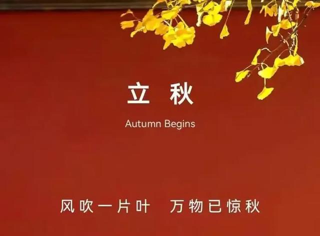 张效忠：立秋（外一首）