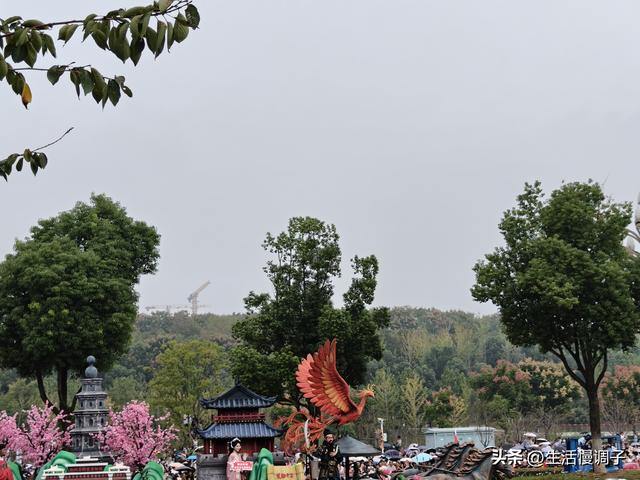 武汉十二月——一月一帧藏走过2025的四季光影