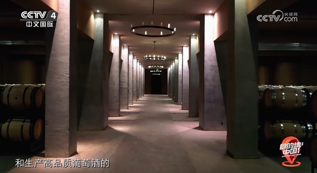 CCTV-4新片！目的地→银川🧳