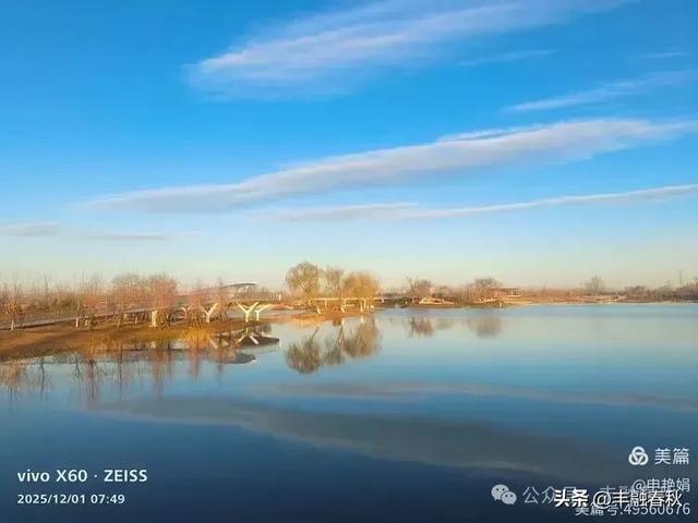 初冬北京朝阳坝河金盏淀：清寒里的静美画卷｜申艳娟