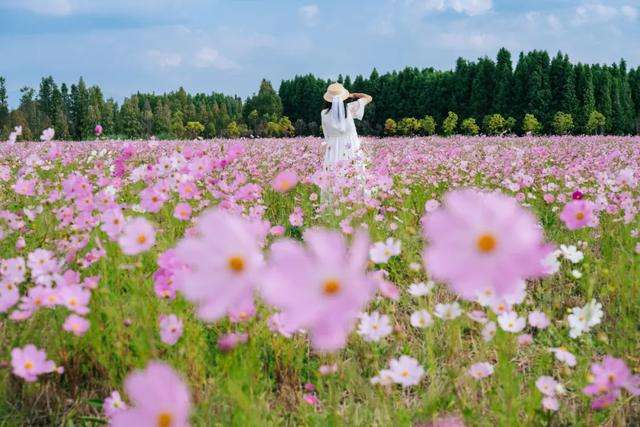 上新啦!6大精品旅游线路!周末就出发→
