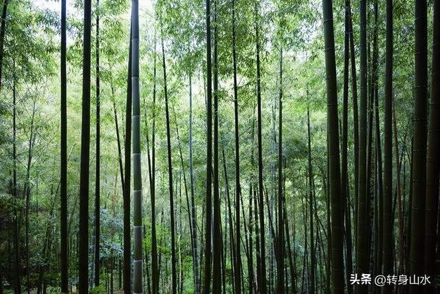 躺平式旅游悄然流行，改变了我对传统旅游的认知，这才是真度假
