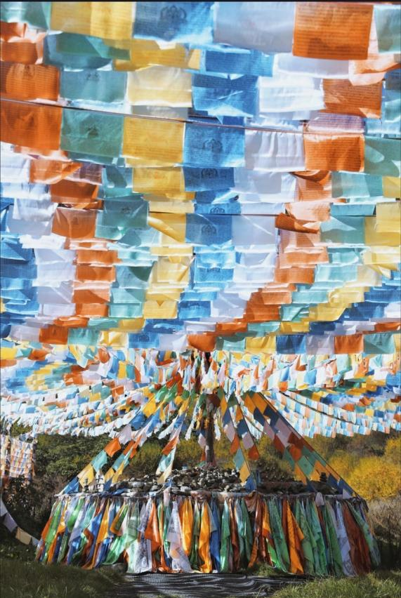 最佳观赏期！雅安的红叶彩林“封神”啦！