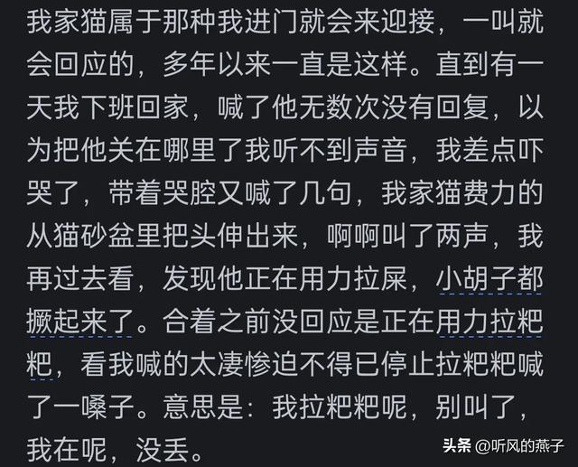 你是否有过把宠物逼的差点说话的时候？网友们的分享，惊呆了