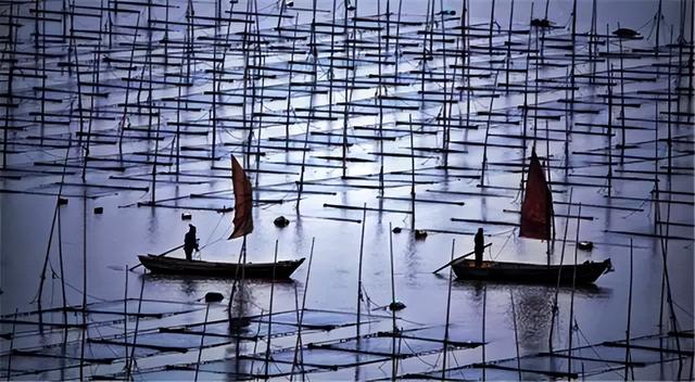 这是油画还是实景？太美太美啦！！