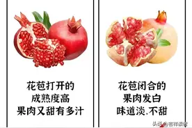 幽默笑话！“姑娘，我不收你钱了，你快走吧，我是个要脸的人。”图片