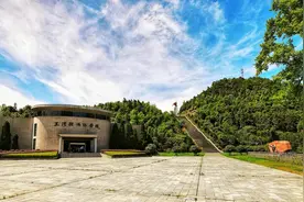 刨根问底：我们从何处来？图片