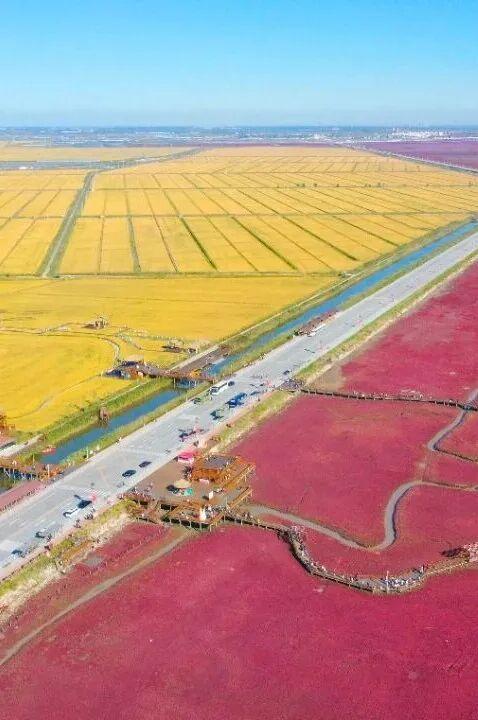 看辽宁·四季风土 | 稻蟹红滩 大洼秋丰
