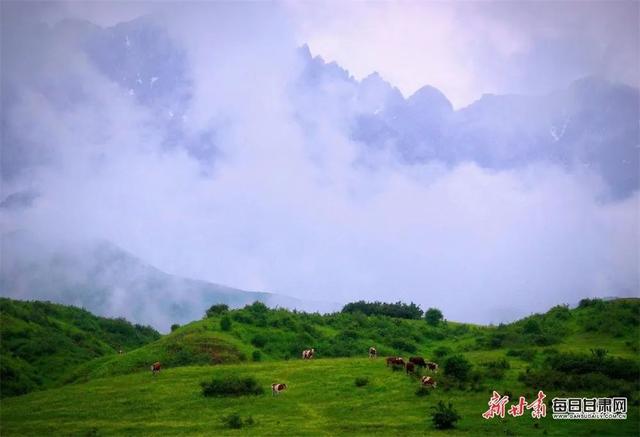 甘肃秋天在哪最美？我投公路一票！