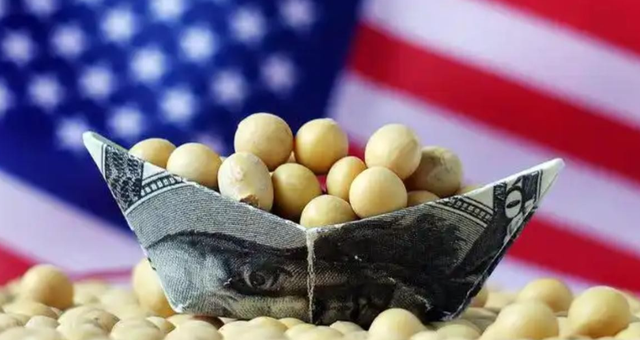 3天狂买160万吨，美国大豆比巴西大豆每吨贵600元	，中国的考量精明吗？