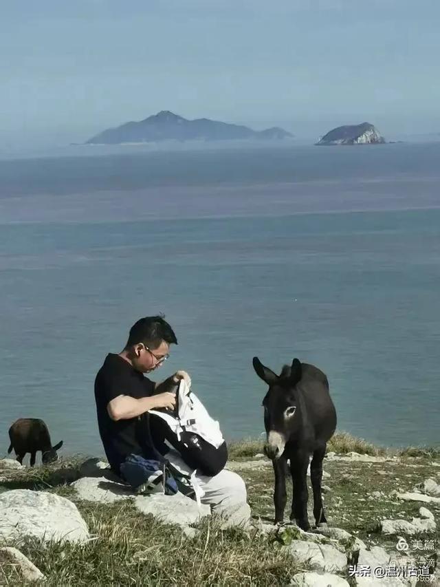 尽享无尽野趣！来浙里，开启一场跨越山与海的秘境徒步之旅！