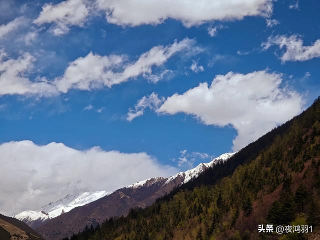 理小路环线今日风景！