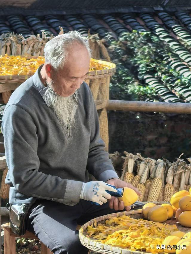 单祖英：从宜兴到澄迈，战友相伴的暖冬南行记