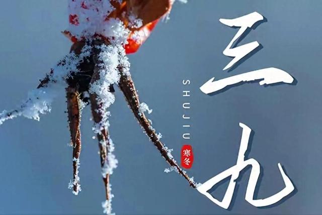 今冬三九天太反常！老话“三九连日晴	”	，啥预兆？答案来了