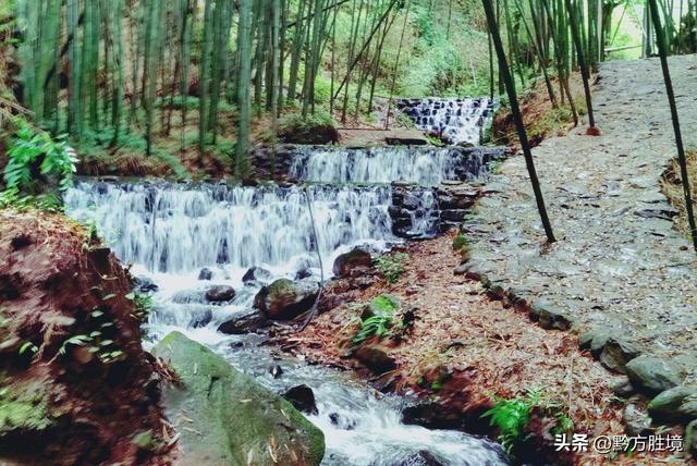 六盘水有一个景区就这样荒废了，坐拥3万亩竹海，堪称避暑胜地