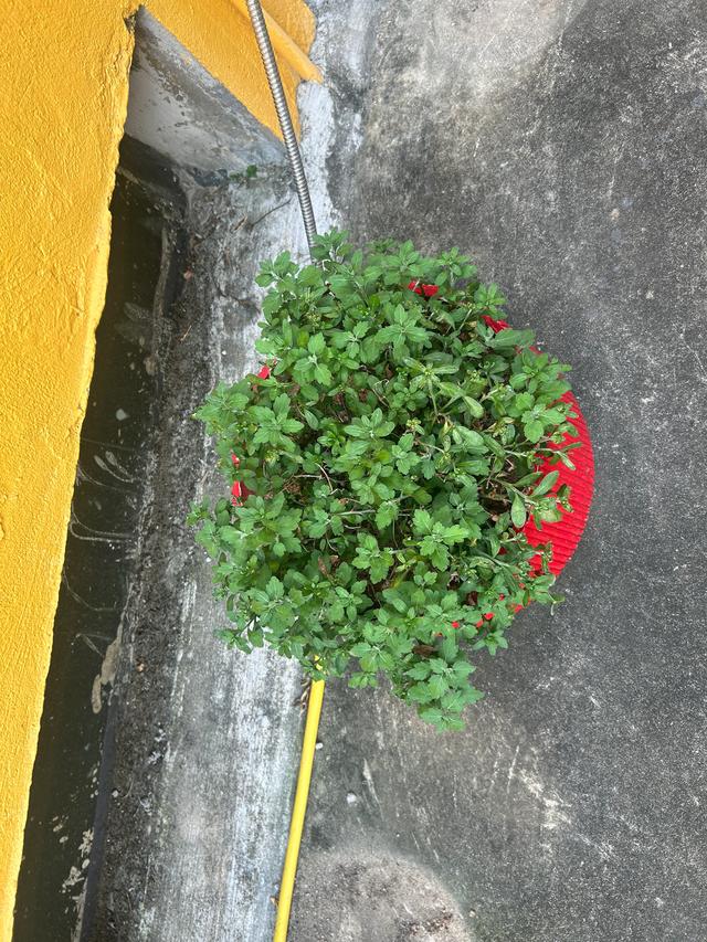 长乐沙京龙泉禅寺