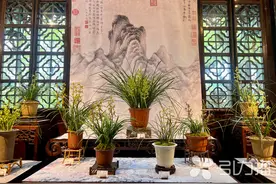 来沧浪亭，赴一场“君子之约”图片