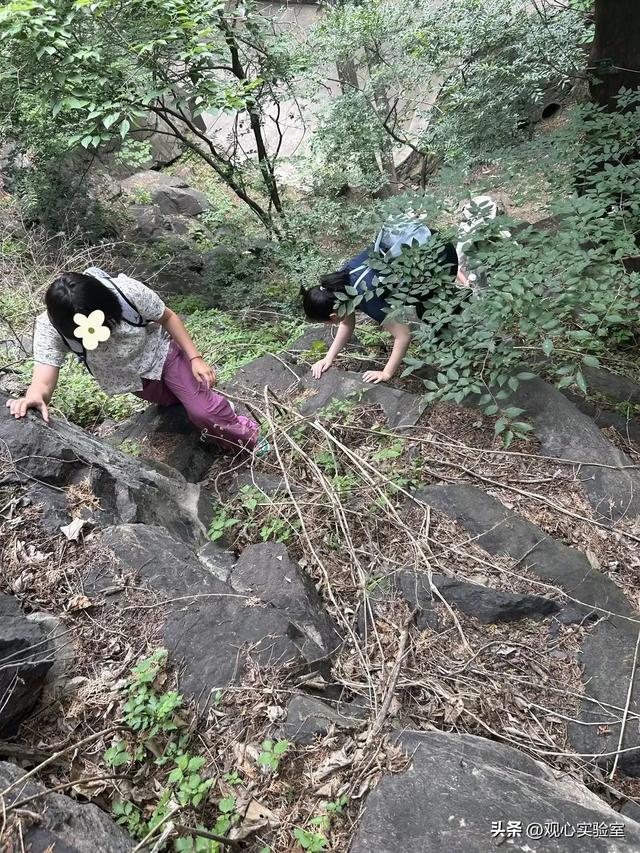 当心理咨询师带休学的孩子们爬山，会发生什么？
