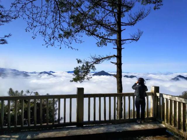 太洋公路已通车！去黄柏塬赏秋现在就出发！