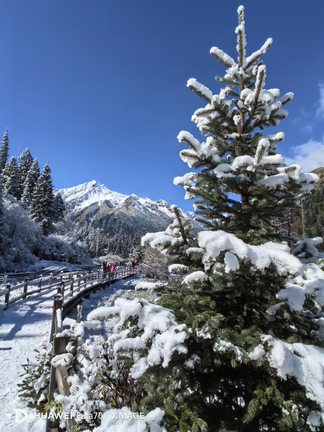 奶子沟+达古冰川，美的不可方物