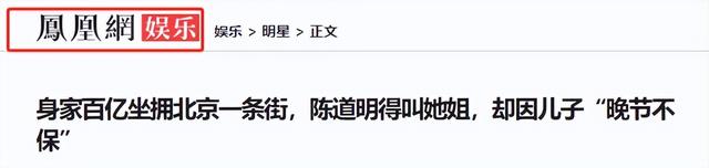 身价过亿坐拥北京一条街，陈道明得叫她姐，儿子是骄傲更是心病