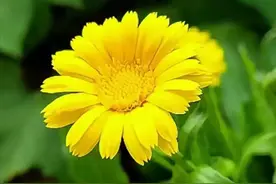 人若欠你，天必还你！11句放下执念，善待自己，万般自在！图片