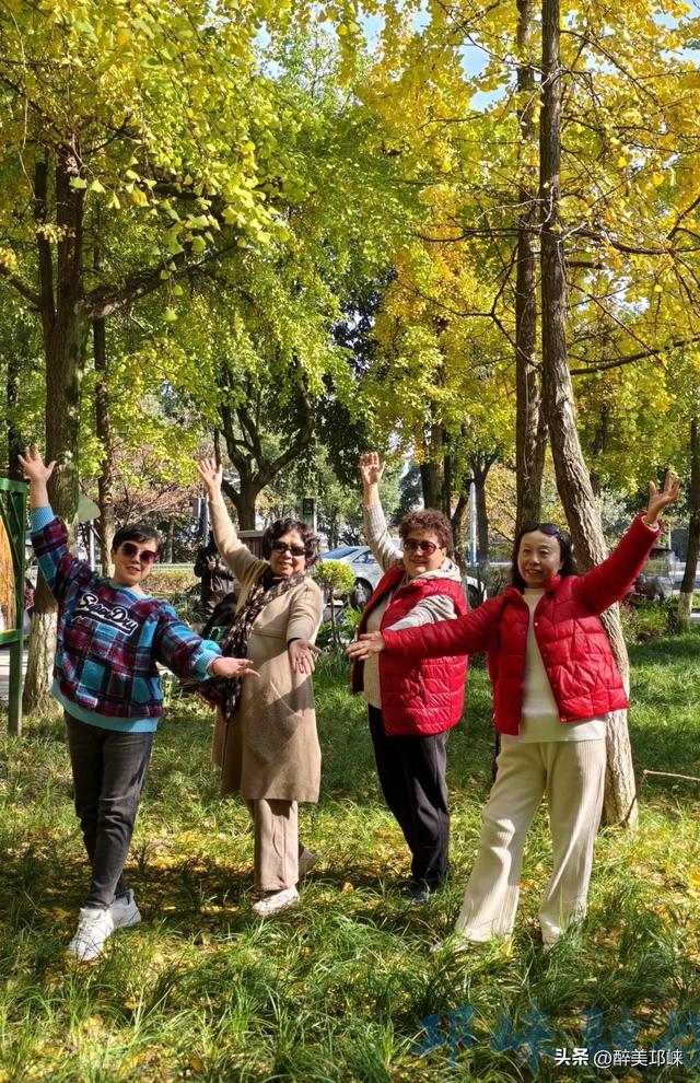 临邛古城银杏季，从浅黄到满树的鎏金，阳光温柔绵长