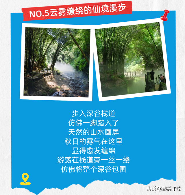 邂逅竹海秋日，解锁25℃的绿意仙境！