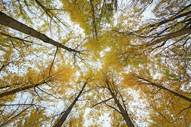 刷屏京津冀朋友圈！这个宝藏地超chill~