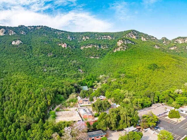 禅意古刹、青山绿野、古风狂欢，济南这条早春线路治愈力拉满！