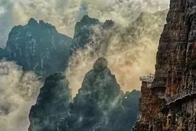 免费、半价……3月8日，这些景区有优惠→图片