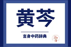 黄芩（清热燥湿药）图片