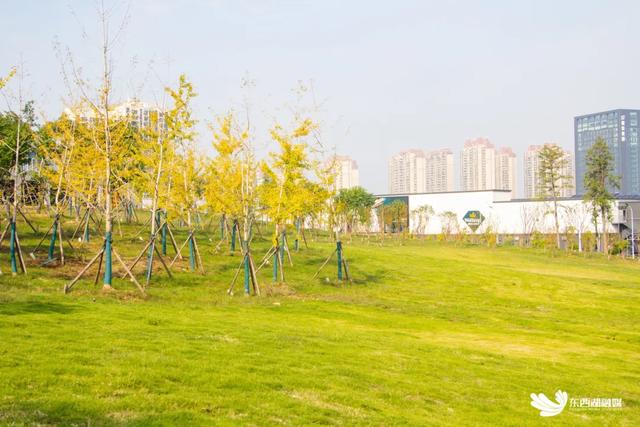 东西湖这座山，变了！