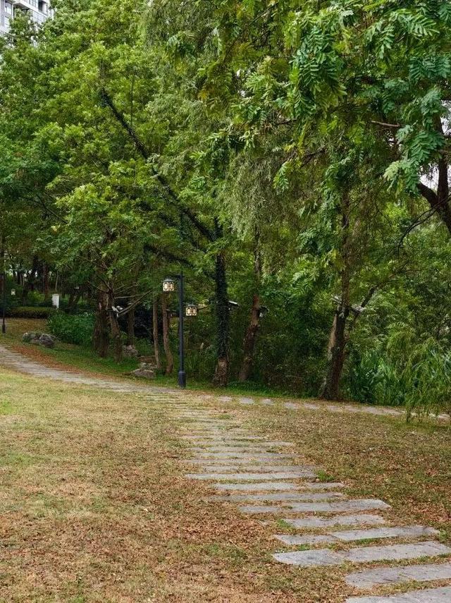 黄山治愈系打卡！20 分钟公园漫游，和“班味”说拜拜 | 皖美冬日 | 第十五届安徽国际文化旅游节