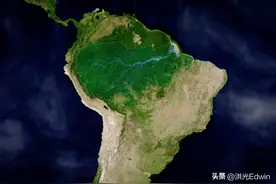 亚马逊雨林发现世界最大的蛇之一，重或可达500公斤！图片