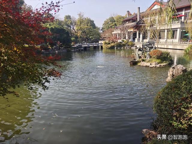 2025 杭州西湖 City Walk 留下足迹