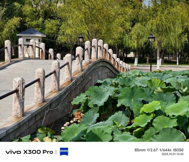 vivo X300系列评测：同级巅峰影像 出片易如反掌