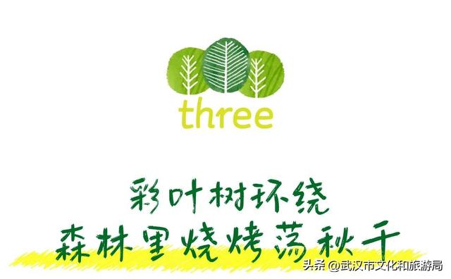 直冲20°C！武汉赏秋天花板，上新3个玩法